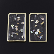 Epoxy Resin Pendants, with Shell and Brass Findings, Rectangle, Colorful, Golden, 30x18x2mm, Hole: 1.5mm(RESI-S365-20)