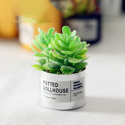 Resin Succulents Pot Model, Moss Micro Landscape Dollhouse Decoration, Random Color Pot, Lime, 30x21mm(WG57627-02)