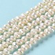 Natural Cultured Freshwater Pearl Beads Strands(PEAR-E018-51)-2