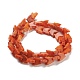 Natural Howlite Beads Strands(TURQ-K006-01C)-3
