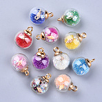 Transparent Glass Globe Pendants, with Resin & Resin Rhinestone & Conch Shell & Glass Micro Beads inside, Plastic CCB Pendant Bails, Round, Golden, Mixed Color, 21.5x16mm, Hole: 2mm(GLAA-S181-06)