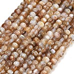 Natural Freshwater Shell Beads Strands, Roudelle, Peru, 4~4.5x3.5mm, Hole: 0.7~0.8mm, about 111~113pcs/strand, 15.20~15.43 inch(38.6~39.2cm)(SH-CBA93AD-03)