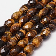 Natural Tiger Eye Beads Strands, Grade A, Faceted, Drum Bead, 13~15x10mm, Hole: 1.2mm, about 28pcs/strand, 15.7 inch(G-N0179-02-10x15mm)