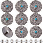 10Pcs Antique Silver Alloy Decorative Rivets, with Imitation Turquoise & Screw, for Purse, Bags, Leather Crafts Decoration, Antique Silver, 33.5x7.5mm(BUTT-GF0004-22C)