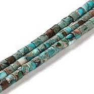Synthetic Regalite/Imperial Jasper/Sea Sediment Jasper Beads Strands, Dyed, Column, Turquoise, 4x4mm, Hole: 0.9mm, about 100pcs/strand, 15.94 inch(40.5cm)(G-F765-E06-01)
