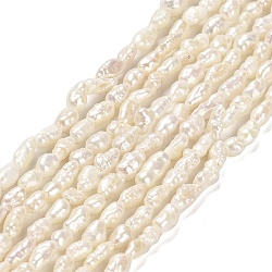 Natural Baroque Pearl Keshi Pearl Beads Strands, Cultured Freshwater Pearl, Oval, Grade 4A+, Old Rose, 2~3.5x3~7.5mm, Hole: 0.5mm, about 75~80pcs/strand, 13.98''(35.5cm)(PEAR-E016-142)