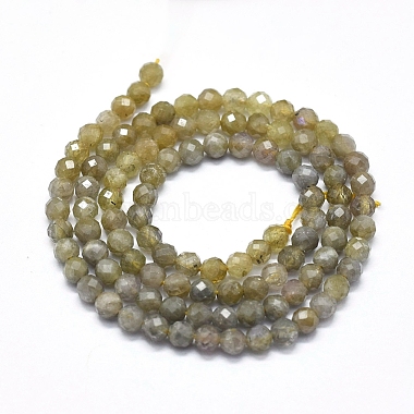 Perles tanzanite naturel brins(G-D0013-17)-2