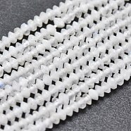 Natural White Moonstone Beads Strands, Faceted, Bicone, 2~2.5x1~1.5mm, Hole: 0.5mm, about 268~298pcs/strand, 15.35 inch(39cm)(G-F686-15A-01)