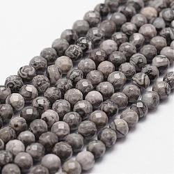 Natural Map Stone/Picasso Stone/Picasso Jasper Beads Strands, Faceted, Round, 4mm, Hole: 1mm, about 96pcs/strand, 14.9 inch~15.1 inch(G-D840-35-4mm)
