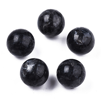 Natural Obsidian Display Decorations, Round, 19~21mm
