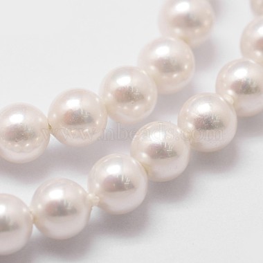 Cuentas perlas de concha de perla(BSHE-L025-01-4mm)-3