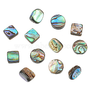 WADORN 12pcs 3 styles Natural Abalone Shell/Paua Shell Beads Strands, Nuggets & Flat Round & Rhombus, Mixed Shapes, 10~18x7.5~13x3~7.5mm, Hole: 0.5~1mm, 4pcs/style(SHEL-WR0001-03)