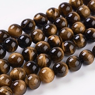Natural Tiger Eye Beads Strands, Round, Goldenrod, 8mm, Hole: 1mm, about 24pcs/strand, 7.4 inch(G-G099-8mm-5)