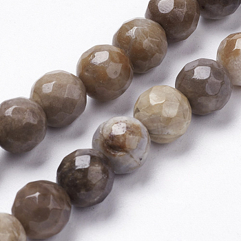Natural Silver Leaf Jasper Beads Strands, Round, Faceted, Saddle Brown, 10mm, Hole: 1mm, about 21pcs/strand, 8 inch(20.6cm)