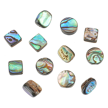 WADORN 12pcs 3 styles Natural Abalone Shell/Paua Shell Beads Strands, Nuggets & Flat Round & Rhombus, Mixed Shapes, 10~18x7.5~13x3~7.5mm, Hole: 0.5~1mm, 4pcs/style