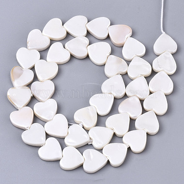 Eau douce naturelle de coquillage perles brins(X-SHEL-N026-51A-01)-2