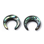 Natural Abalone Shell/Paua Shell Beads, Crescent Moon, 13x13x3mm, Hole: 0.8mm, about 6pcs/bag(SSHEL-N034-122B-01)