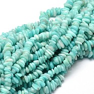 Natural Amazonite Chip Beads Strands, 5~14x4~10mm, Hole: 1mm, about 15.5 inch~16.1 inch(G-E271-75)