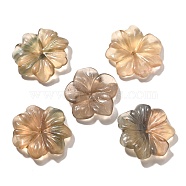 Natural Fluorite Carved Beads, Flower, 26.5x6mm, Hole: 1.2mm(G-I359-09)