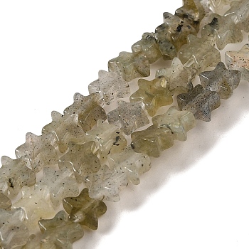 Natural Labradorite Beads Strands, Star, 6x5.5x2mm, Hole: 0.8mm, about 75pcs/strand, 14.57 inch(37cm)