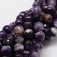 Faceted Round Natural Chevron Amethyst Bead Strands, 10mm, Hole: 1mm, about 40pcs/strand, 15.3 inch(G-L437-22-10mm)