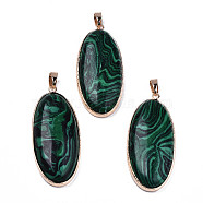 Oval Synthetic Malachite Pendants, with Light Gold Plated Brass Bails and Edge, 52~53x23x8mm, Hole: 4~5x7~8mm(G-N326-64)