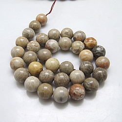 Natural Fossil Coral Beads Strands, Round, 8mm, Hole: 1mm(G-G212-8mm-31)