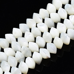 Natural Trochid Shell/Trochus Shell Bead Strands, Bleach, Rondelle, White, 6x3.5mm, Hole: 1mm, about 106pcs/strand, 15.16 inch(38.5cm)(SSHEL-N034-134)