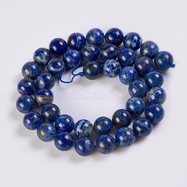 Natural Lapis Lazuli Beads Strands(G-K254-01-10mm)-4