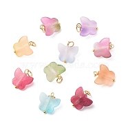 Two Tone Spray Painted Transparent Acrylic Pendants, with 304 Stainless Steel Jump Rings, Butterfly, Golden, 15x14x6.5mm, Jump Ring: 5x0.6mm, Inner Diameter: 3.8mm.(PALLOY-JF01838-02)