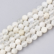 Natural White Moonstone Beads Strands, Faceted, Round, 4mm, Hole: 0.8mm, about 93pcs/strand, 15.3 inch(G-T107-13)