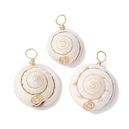 Natural Shiva Eye Shell Copper Wire Wrapped Pendants, Shell Shape Charms, Light Gold, 22~26x15~21x8~13mm, Hole: 3.5mm(PALLOY-JF02680-01)