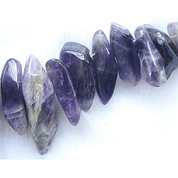 Natural Amethyst Beads, Natural Gemstone Chips, about 16-46 in diameter, hole: 1mm, 16 inch/Strands(X-00Q5K011)