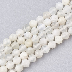 Natural White Moonstone Beads Strands, Faceted, Round, 4mm, Hole: 0.8mm, about 93pcs/strand, 15.3 inch(G-T107-13)