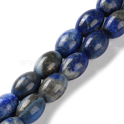 Natural Lapis Lazuli Beads Strands, Rice, 9x6mm, Hole: 1mm, about 44pcs/strand, 15.94 inch(40.5cm)(G-I369-B15-01)