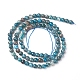 Natural Apatite Beads Strands(G-L554-01-4mm)-3