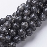 15.5 inch Natural Larvikite Beads Strands, Round, bead: 12mm, hole: 1mm, 34pcs/strand(GSR12mmC128)