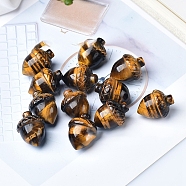 Natural Tiger Eye Carved Healing Acorn Figurines, Reiki Energy Stone Display Decorations, 25x20mm(PW-WG75049-01)