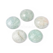 Natural Amazonite Cabochons, Half Round, Faceted, 15.5x5.5mm(G-L514-007D)