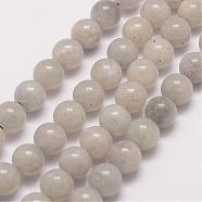 Natural Labradorite Bead Strands, Round, 10mm, Hole: 1mm, about 38pcs/strand, 15.5 inch(G-P259-05-10mm)