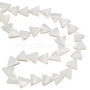 BENECREAT 1 Strand Natural Shell Beads Strands, Triangle, Antique White, 11.5~12x12.6~13.2x2.5~2.8mm, Hole: 0.8mm, about 34pcs/strand, 15.82 inch(40.2cm)(BSHE-BC0001-13)