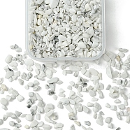 50G Natural Howlite Chip Beads, No Hole/Undrilled, 2~8x2~4mm(G-YW0001-70)