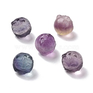 Natural Fluorite Beads, Cat, 12.5~13x12.5~13mm, Hole: 1.6mm(G-P483-06)