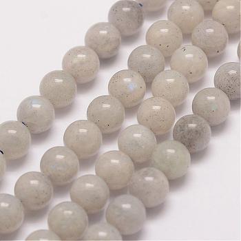 Natural Labradorite Bead Strands, Round, 10mm, Hole: 1mm, about 38pcs/strand, 15.5 inch