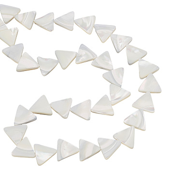 BENECREAT 1 Strand Natural Shell Beads Strands, Triangle, Antique White, 11.5~12x12.6~13.2x2.5~2.8mm, Hole: 0.8mm, about 34pcs/strand, 15.82 inch(40.2cm)