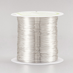 Round Copper Wire Copper Beading Wire for Jewelry Making, Long-Lasting Plated, Silver, 28 Gauge, 0.3mm, about 236.22 Feet(72m)/roll(CWIR-F001-S-0.3mm)
