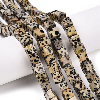 Natural Dalmatian Jasper Beads Strands, Cube, 8~9x8~9x8~9mm, Hole: 1.2mm, about 47~49pcs/strand, 15.35~15.79''(39~40.1cm)