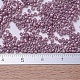 MIYUKI Delica Beads Small(X-SEED-J020-DBS0253)-4