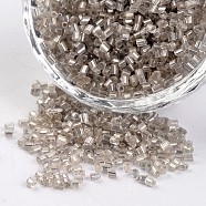 8/0 Two Cut Silver Lined Round Hole Glass Seed Beads, Hexagon, Gray, 2.5~3x2~2.5mm, Hole: 0.8~1mm, about 12100pcs/450g(SEED-I006-21)