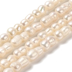 Natural Cultured Freshwater Pearl Beads Strands, Peanut, Old Lace, 9~16x6~7mm, Hole: 0.5mm, about 38~40pcs/strand, 15.94~16.34''(40.5~41.5cm)(PEAR-E016-006)